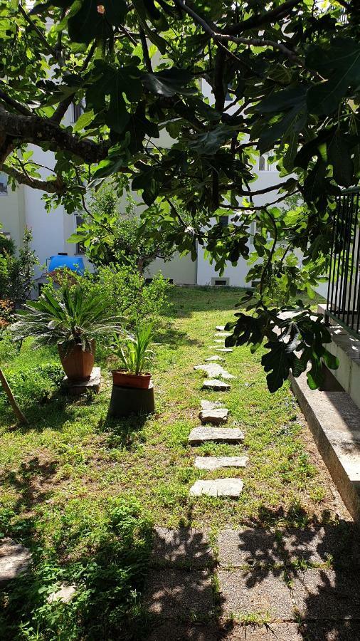Lav Apartments Herceg Novi Exteriör bild